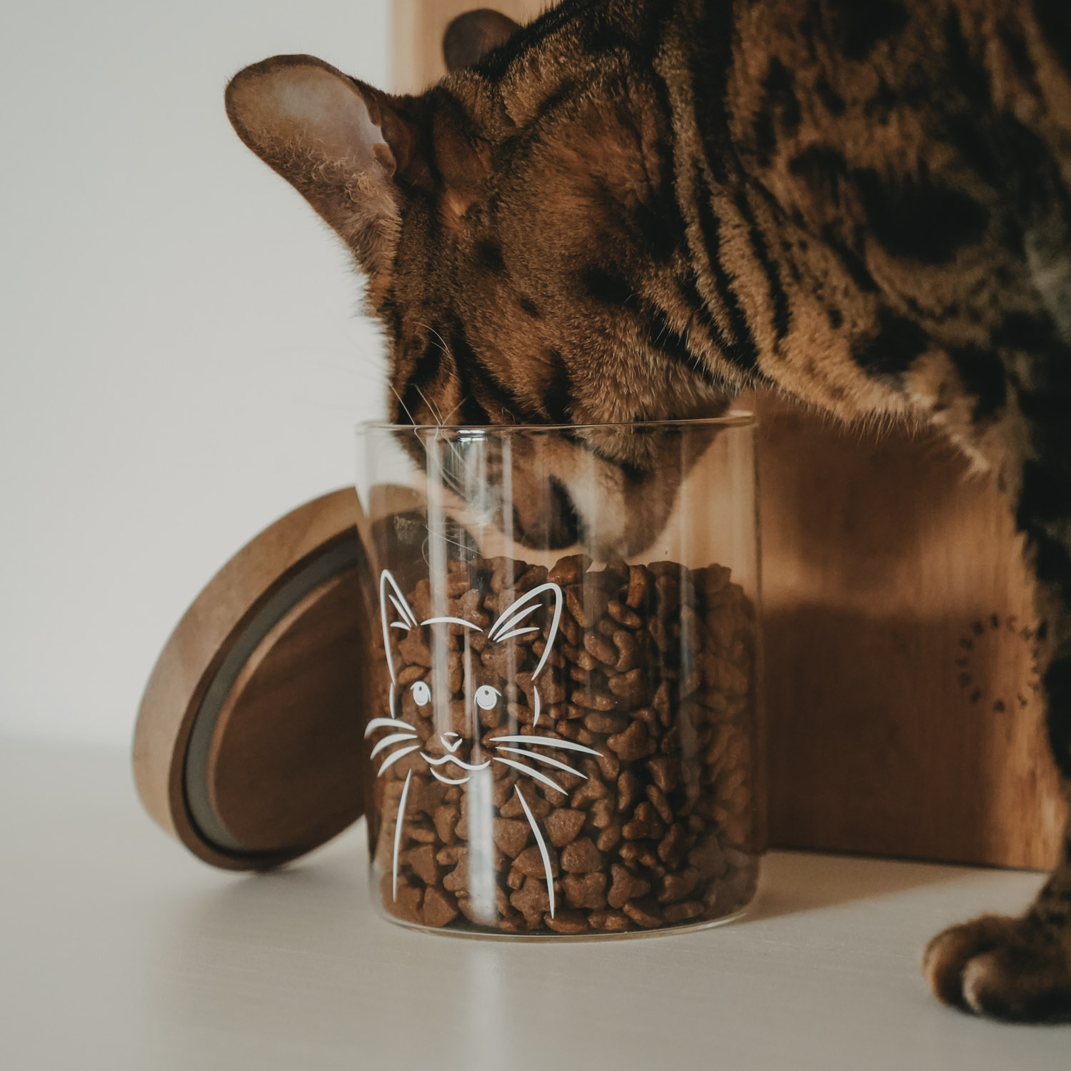 Eulenschnitt Vorratsglas Katze, 13 cm – Bild 5