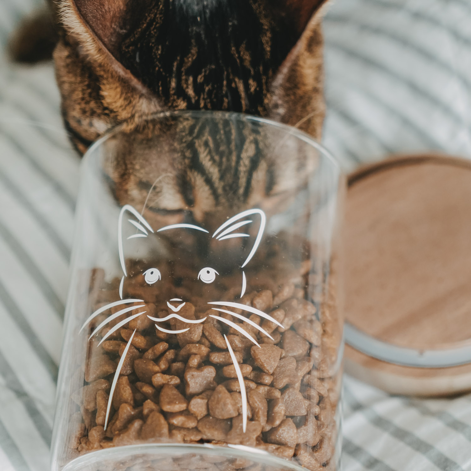 Eulenschnitt Vorratsglas Katze, 13 cm