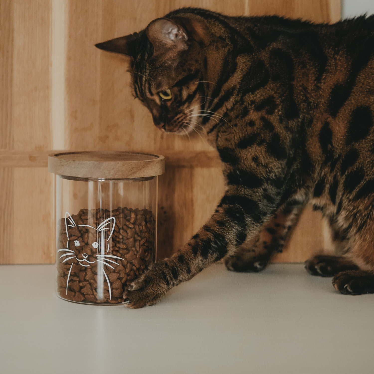 Eulenschnitt Vorratsglas Katze, 13 cm – Bild 3